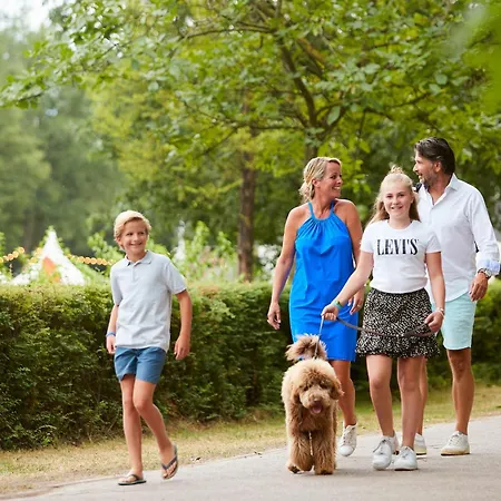 Holiday home Forest 6 Persons #704